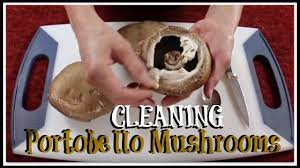Huge sale on grow your own mushroom now on. How To Clean Portobello Mushrooms Youtube