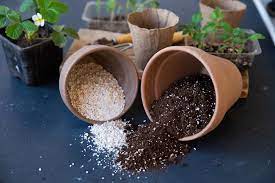 The makeup of the soil is key, since cacti have specific density and nutritional requirements. 5 Diy Potting Soil Recipes For Growing Horticulture Co Uk