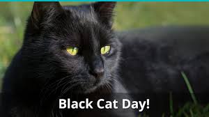 Today is black cat appreciation day. National Black Cat Day What Is It And When Is It Held