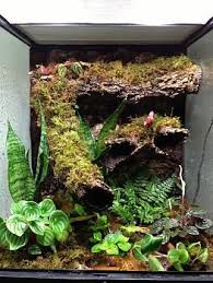 New Live Vivarium Vivarium Crested Gecko Frog Terrarium