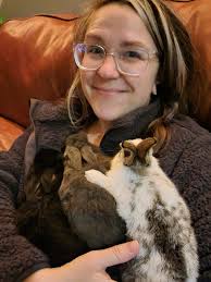 Adorable neighborhood bunny in Plainville, MA