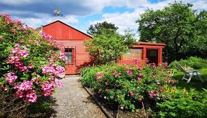 Schrebergarten zum pachten in hamburg langenhorn abzugeben. Urlaub Im Schrebergarten Mietgarten Oder Doch Nur Ein Mietbeet