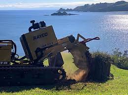 Root pruning eases the stress of a tree being transplanted, by allowing the tree to grown new root pruning is the process of slicing through the roots at the drip line of an establish ed tree that is going. Bamboo Grinding And Removal Service Root Pruning Services Auckland