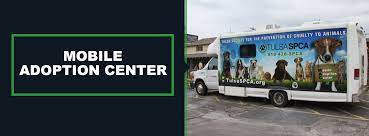 Please be sure and read our how to adopt rules when considering a pet. Mobile Adoption Center Tulsa Spcatulsa Spca
