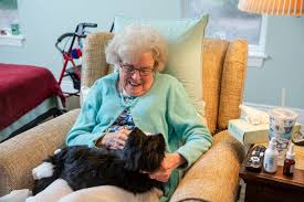 Maybe you would like to learn more about one of these? In Isolating Times Can Robo Pets Provide Comfort The New York Times