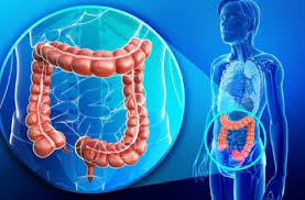 Conseils Pour Traiter Le Surpoids Et Le Colon Intoxique Ameliore Ta Sante Nettoyage Colon Nettoyer Colon Sante