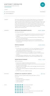 asset manager resume: examples