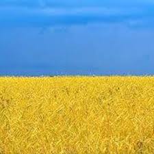 Ukraine is a country in eastern europe. Nyheter Om Ukraina Ukrainsk1 Twitter