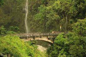 Maybe you would like to learn more about one of these? Road To Hana Maui Waterfalls See Waterfalls In Maui