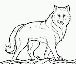 Coloring Pictures Of Wolves Wolf Colors Animal Coloring Pages Wolf Drawing