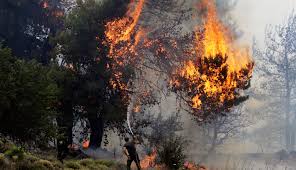 Maybe you would like to learn more about one of these? Pyrkagia News Gr