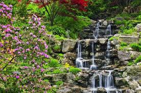 Tout le monde connaît l'e. Cascade De Bassin En 46 Photos Laquelle Avez Vous Choisie