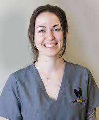 Our Team in Boston, MA