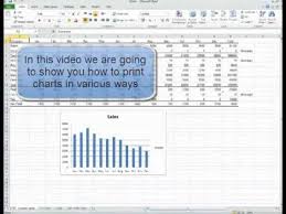 ms excel 2010 printing charts