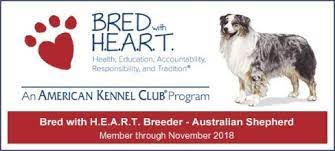 Australian shepherd / red heeler pic hide this posting restore restore this posting. Australian Shepherd Puppies For Sale Purebred Aussies Ranch Chalet Llc