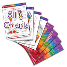 All 8 Charts Package Sue Ricks Reflexology Expert