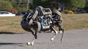 robot wildcat