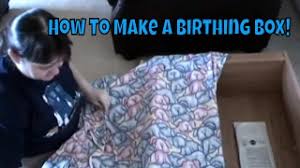It is simply a warm, quiet, dark and comfortable place a kitty litter tray and water bowl near the birthing box. How To Make A Cat Or Dog Birthing Box Youtube