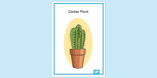 The unique gaming name is enough to stand out from the crowd and also easy to remember. 79 Top Cactus Teaching Resources