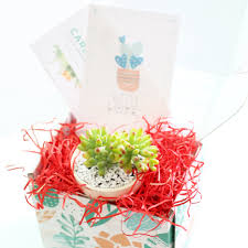Valentine box ideas for girls Valentines Day Gift Box 1 Succulent I Love You Gift Box Valentines Day Gift For Her Succulents Box