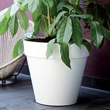 Pot De Fleurs Jardiniere Bac A Fleur Elho Poetic Et Hesperide So garden propose aux professionnels du paysage, une large gamme de bacs et de jardinières en fibre de verre et résine de polyester ultra résistant et aux les coins sont également renforcés par une double épaisseur de résine. pot de fleurs jardiniere bac a