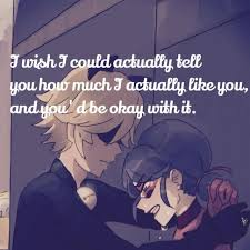 Miraculous ladybug wallpaper | tumblr. Ladybug And Cat Noir Love Quotes