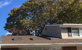 Maybe you would like to learn more about one of these? Roof Leaks And Mold Signs Repairs
