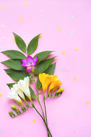 Blue Ribbon In The Form Of Number Eight On Pink Background With A Copy Space Affiliate Form Number Blue Pink Background Freesia Flowers Mother Images