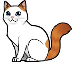 Dont overlap the shape of the first hind leg as you draw the tail. Turkish Van Cat Art Cute Cartoon Animals Animated Animals