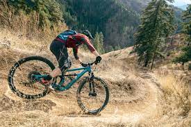 Read our mtb guide to learn about types, suspension, wheel sizes and more. Best Mountain Bike Brands Of 2021 Switchback Travel