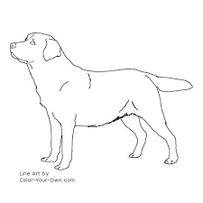 Dog Labrador Retriever Coloring Page Labrador Retriever Art Dog Line Art Dog Line