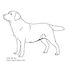 We hope you're going to follow along with us. Dog Labrador Retriever Coloring Page Dog Line Art Dog Line Puppy Coloring Pages