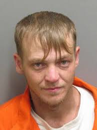 Arrest Mugshots 3/25/2015