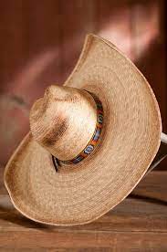 Stetson Charlie 1 Horse Coyote Straw Hat Charlie 1 Horse Straw Cowboy Hat Cowgirl Hats