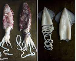 We did not find results for: Crispy Fried Calamari Spicy Fried Squid Recipe Easy Quick