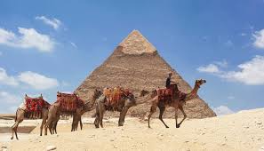 ‪Pyramids of Giza Camel Safari | Guided Tours & Transfers‬‏