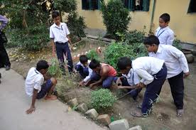 Trees play a significant role in ecological balance and trees are therefore to be protected, and tree plantation helps in increasing the green cover. Essay On Importance Of Tree Plantation For Students 500 Words Essay