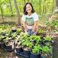 Surprise! The Popular Garden Plants You Should Replace
