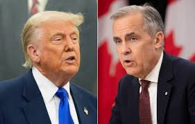 Adams admin official Jesse Hamilton's aide produced 'unauthorized' real  estate promo video under scrutiny