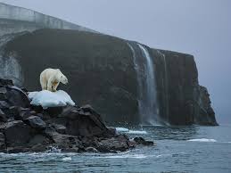 Image result for global warming photos