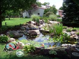 106 greystone dr is a house in nicholasville, ky 40356. H2o Designs Ky Fish Ponds Fountains Waterfalls Maintenance Nicholasville Ky Pond Contractor Services