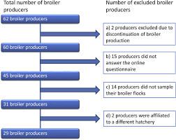 Flow Chart Showing Included And Excluded Broiler Producers