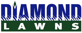 Diamond lawns is a premier lawn care and pest control company in meridian, id, with low prices and excellent customer service. Pest Exterminator Lawn Care Company In Idaho Diamond Lawns