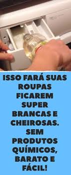 Rosemarie Schaefer (rosemarieschaefer3)