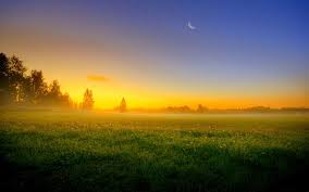 Please complete the required fields. Landscape Anime Background Wallpaper 4k Novocom Top
