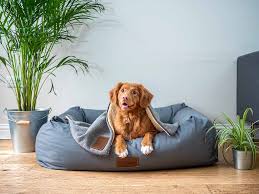 Find the best option for your dog — size, age, needs and. 7 Large Dog Bed Ideas For Australian Dogs Dogs Of Australia