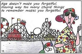 By stephen on january 29, 2013. Wisdom In Old Age Quotes Funny Ageing Jokes Dogtrainingobedienceschool Com