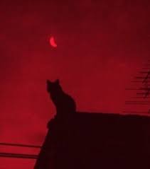 Red moon high res stock images. Red Moon Images On Favim Com