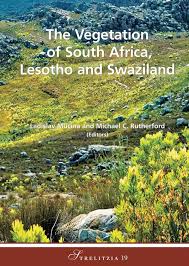 Image result for Prismatocarpus cordifolius