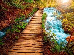 If you're in search of the best beautiful nature wallpapers, you've come to the right place. Beautifull Hd Wallpapers Free Dawonlod Wallpaper Cave